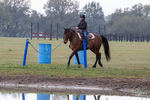FLHorseParkRace-10
