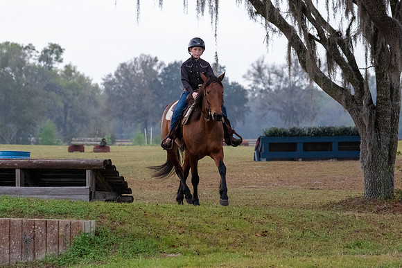 FLHorseParkRace-12