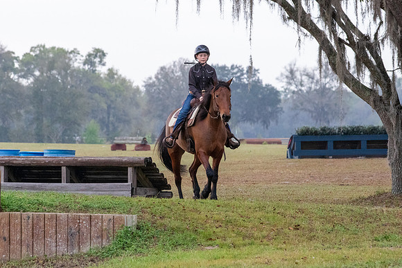 FLHorseParkRace-11