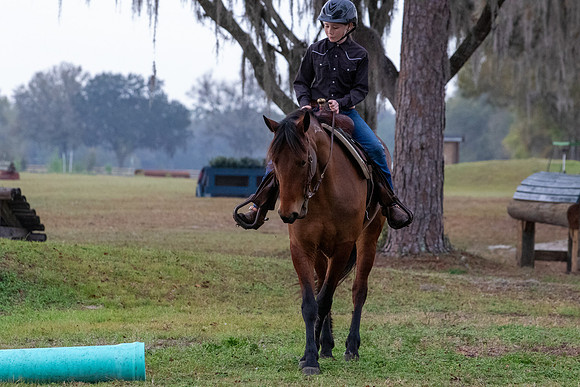 FLHorseParkRace-14