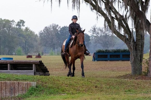 FLHorseParkRace-13