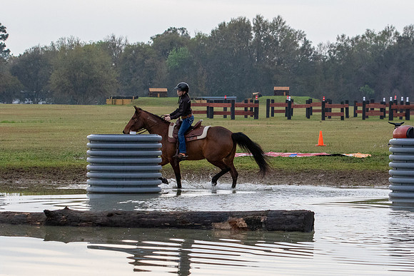 FLHorseParkRace-18