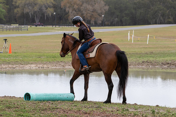 FLHorseParkRace-398