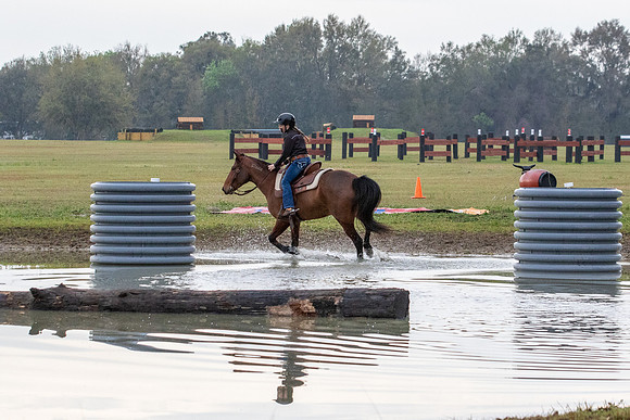 FLHorseParkRace-16