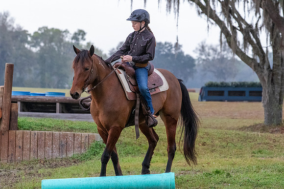 FLHorseParkRace-15