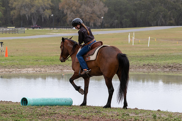 FLHorseParkRace-399
