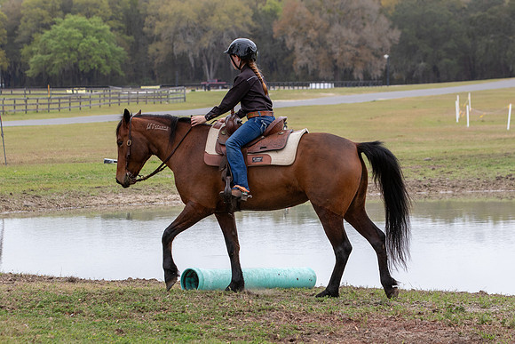 FLHorseParkRace-400