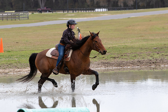 FLHorseParkRace-403
