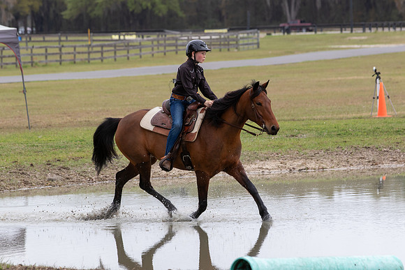 FLHorseParkRace-402