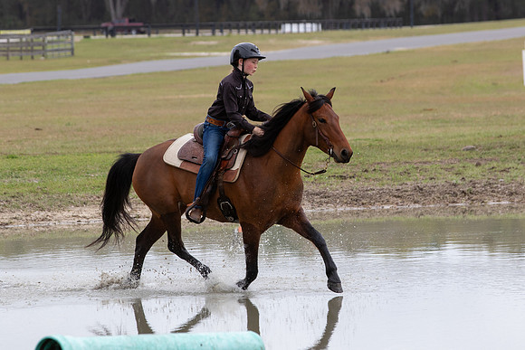 FLHorseParkRace-404
