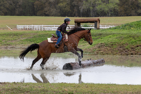 FLHorseParkRace-405
