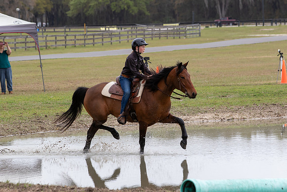 FLHorseParkRace-401