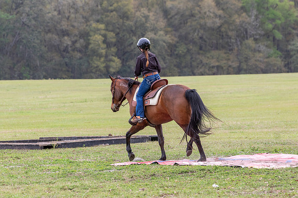 FLHorseParkRace-409