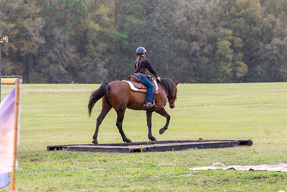 FLHorseParkRace-411