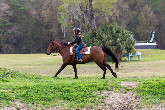 FLHorseParkRace-413