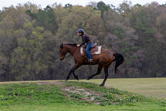 FLHorseParkRace-414