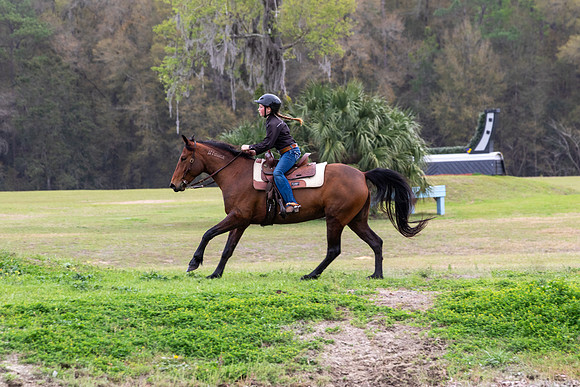 FLHorseParkRace-412