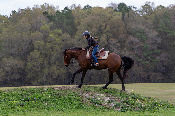 FLHorseParkRace-415