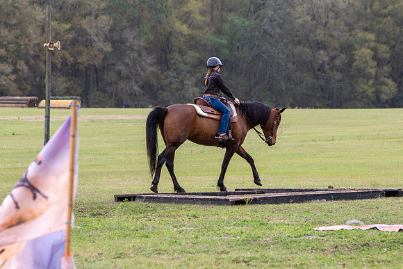 FLHorseParkRace-410