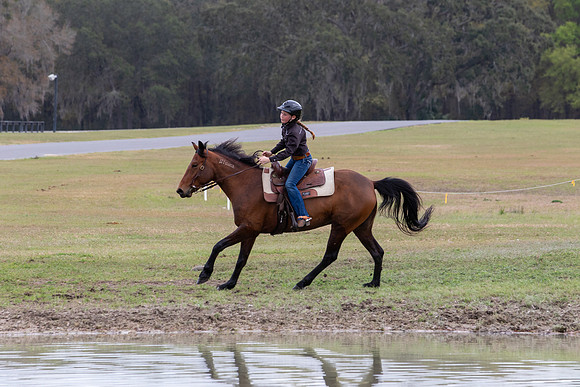 FLHorseParkRace-417