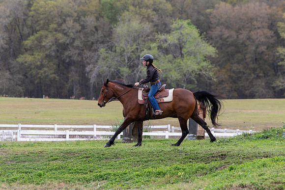 FLHorseParkRace-416