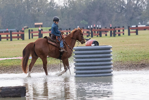 FLHorseParkRace-56