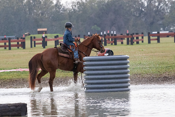 FLHorseParkRace-57