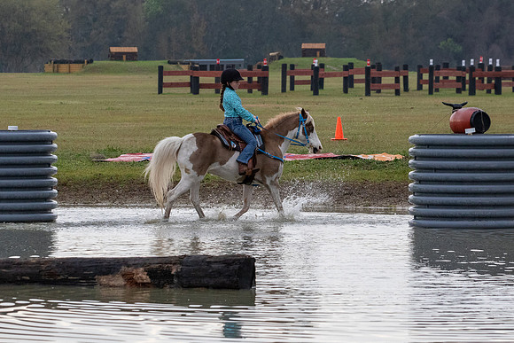 FLHorseParkRace-40