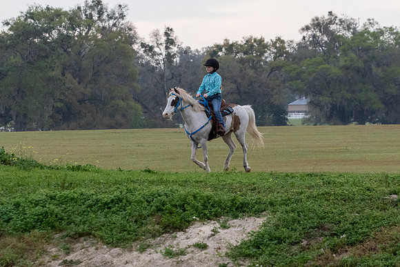 FLHorseParkRace-44