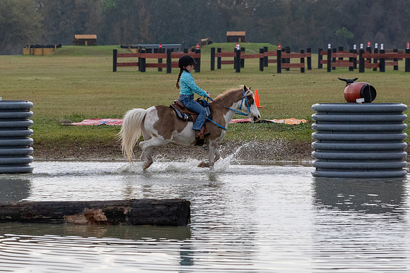 FLHorseParkRace-41