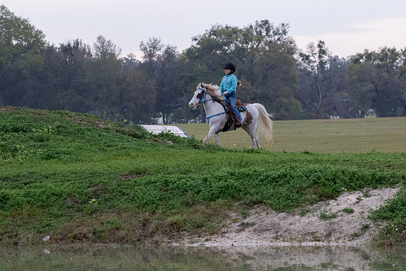 FLHorseParkRace-45