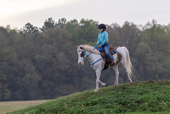 FLHorseParkRace-47