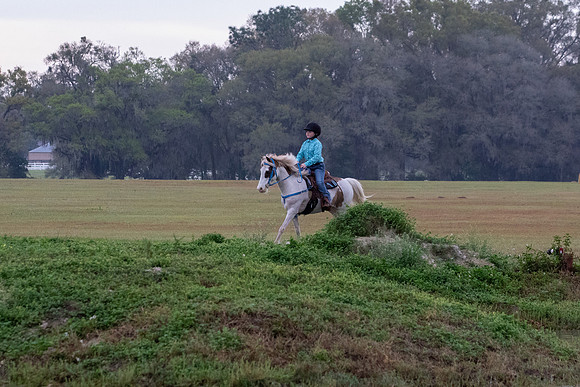 FLHorseParkRace-43