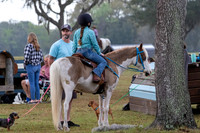 FLHorseParkRace-1
