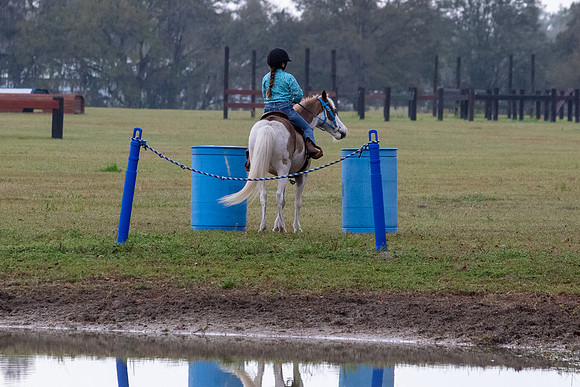 FLHorseParkRace-26