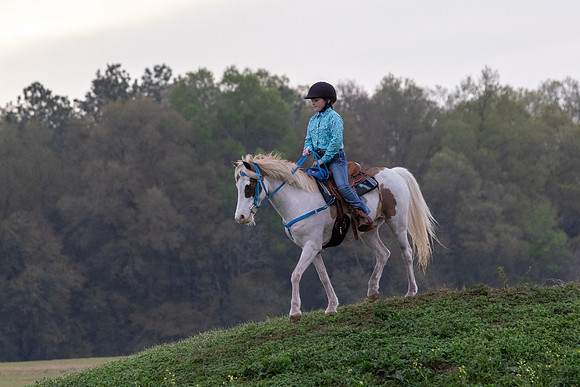 FLHorseParkRace-46