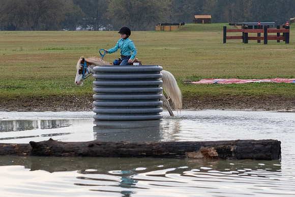 FLHorseParkRace-38