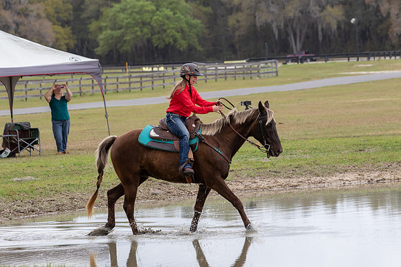 FLHorseParkRace-434