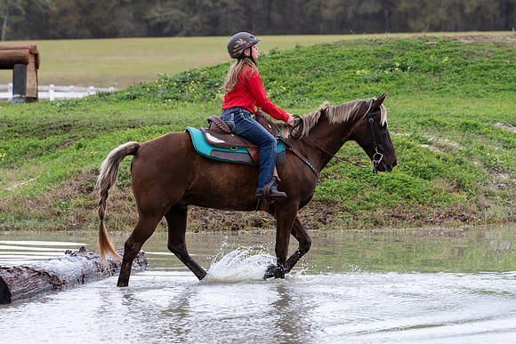 FLHorseParkRace-438