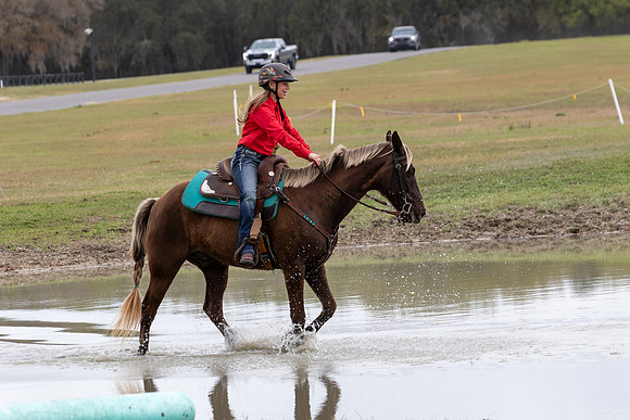 FLHorseParkRace-436