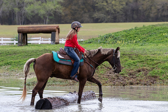 FLHorseParkRace-437