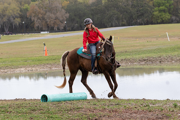 FLHorseParkRace-432