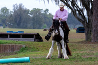 FLHorseParkRace-74