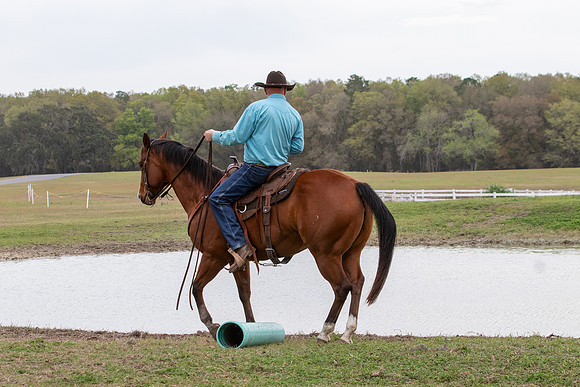 FLHorseParkRace-106