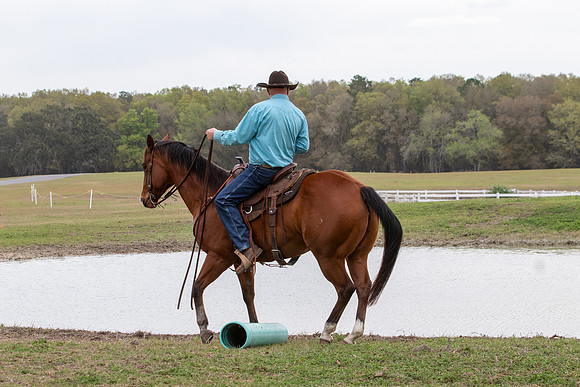 FLHorseParkRace-105