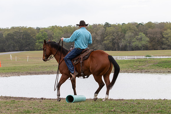 FLHorseParkRace-104