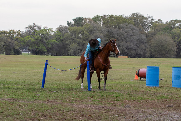 FLHorseParkRace-103