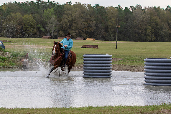 FLHorseParkRace-108