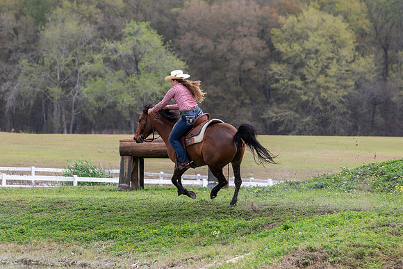 FLHorseParkRace-367