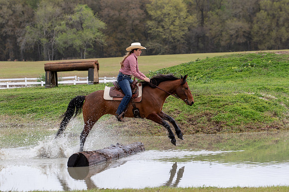 FLHorseParkRace-366